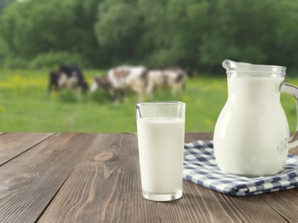 Молочные реки: может ли стартап на молоке стать бизнесом мечты