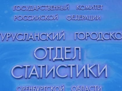 В Бугуруслане и Бугурусланском районе Оренбургстат проводит выборочное обследование