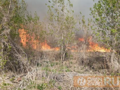 МЧС объявило о высоких рисках пожарной опасности в Оренбургской области