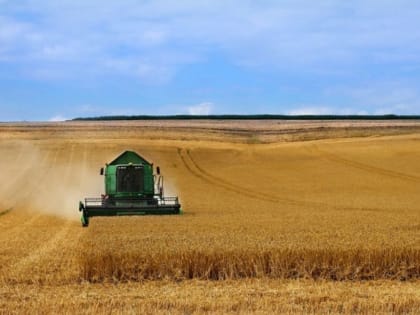 Какие знания необходимы для старта агробизнеса?