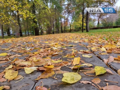 В Оренбуржье в ночь на 3 ноября пройдет небольшой дождь, будет туман и до +3 градусов