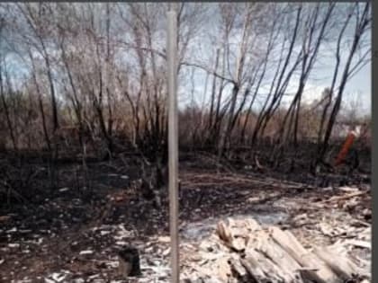 Владельцы 6-ти соток восстанавливают участки после страшного пожара