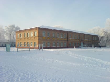 Минобр сообщил о расторжении договора с ЧОПом, охранник которого избил подростка в школе