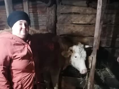 Доверие к натуральному продукту и никакой математики
