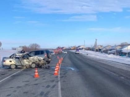 В ДТП на оренбургской трассе погиб водитель, двое госпитализированы