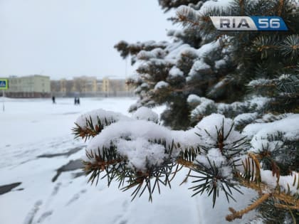 Оренбуржцев предупреждают об усилении ветра и сильных осадках в виде мокрого снега