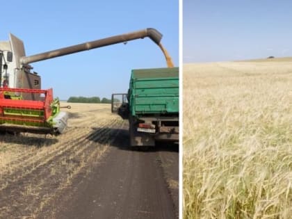 Аграрии Кувандыкского округа приступили к уборке