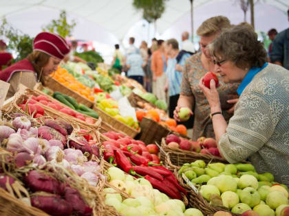 В Оренбуржье на 30 процентов подешевели овощи из борщевого набора