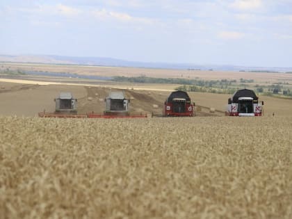 Аграрии Оренбуржья собрали 3,3 миллиона тонн зерна