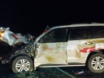 Сегодня 6 ноября в Оренбургской области пьяный водитель погубил табун лошадей