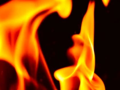 На автодороге Оренбург – Самара вспыхнул грузовой автомобиль