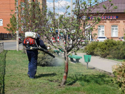 Клещей «нейтрализуют»