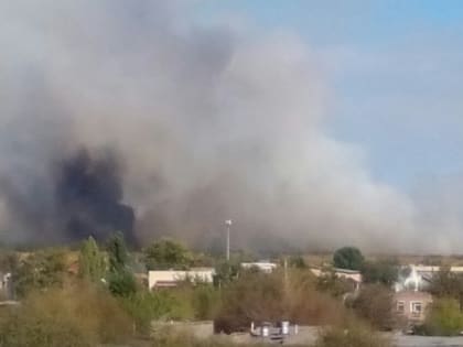 Пожар под Орском ликвидирован, но тлеющие деревья стали причиной задымления города