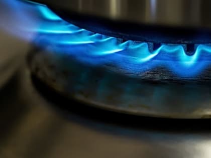 УФАС проверит резкое подорожание техобслуживания газового оборудования