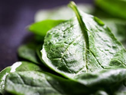 Ешьте шпинат каждый день: как он влияет на вес?