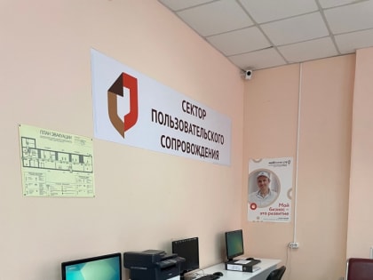 С 16 января  на базе МФЦ города Бузулука функционирует сектор пользовательского сопровождения