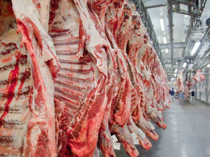 Китай и Ангола. Что экспортирует Оренбуржье в другие страны