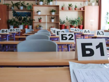 В Оренбуржье стало известно число 100-балльников по результатам ЕГЭ