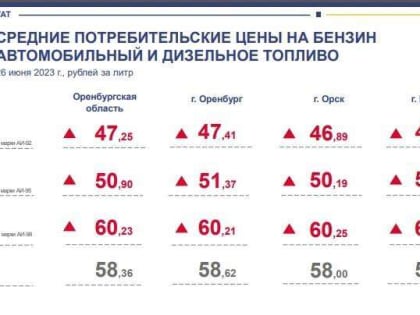 Что подорожало в Оренбуржье за неделю: бензин, сыр, морковь и мука