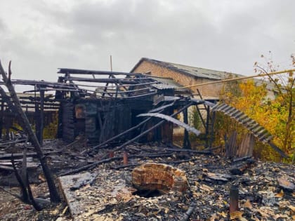 В Оренбуржье с начала 2023 года на пожарах погибли 77 человек