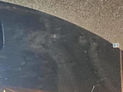 Сотрудники полиции Тюльгана устанавливают обстоятельства ДТП со смертельным исходом