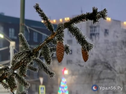 Морозы отступают: Какая погода будет в Оренбургской области 24 января и ждать ли отмены занятий?