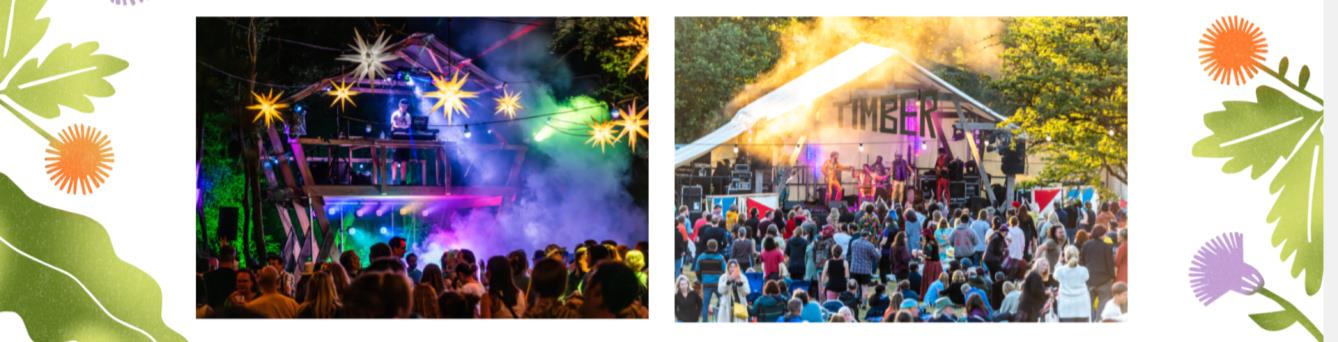 TIMBER FESTIVAL