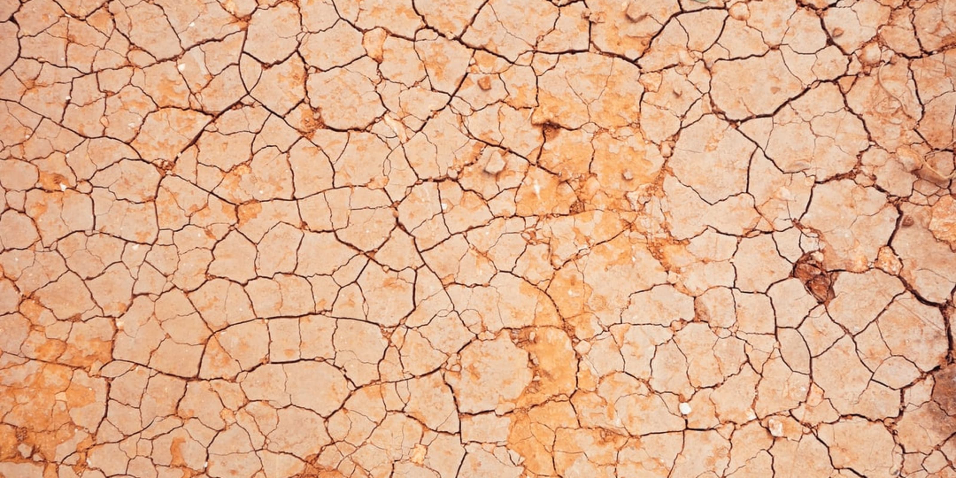 DRYing out Github Actions article hero image