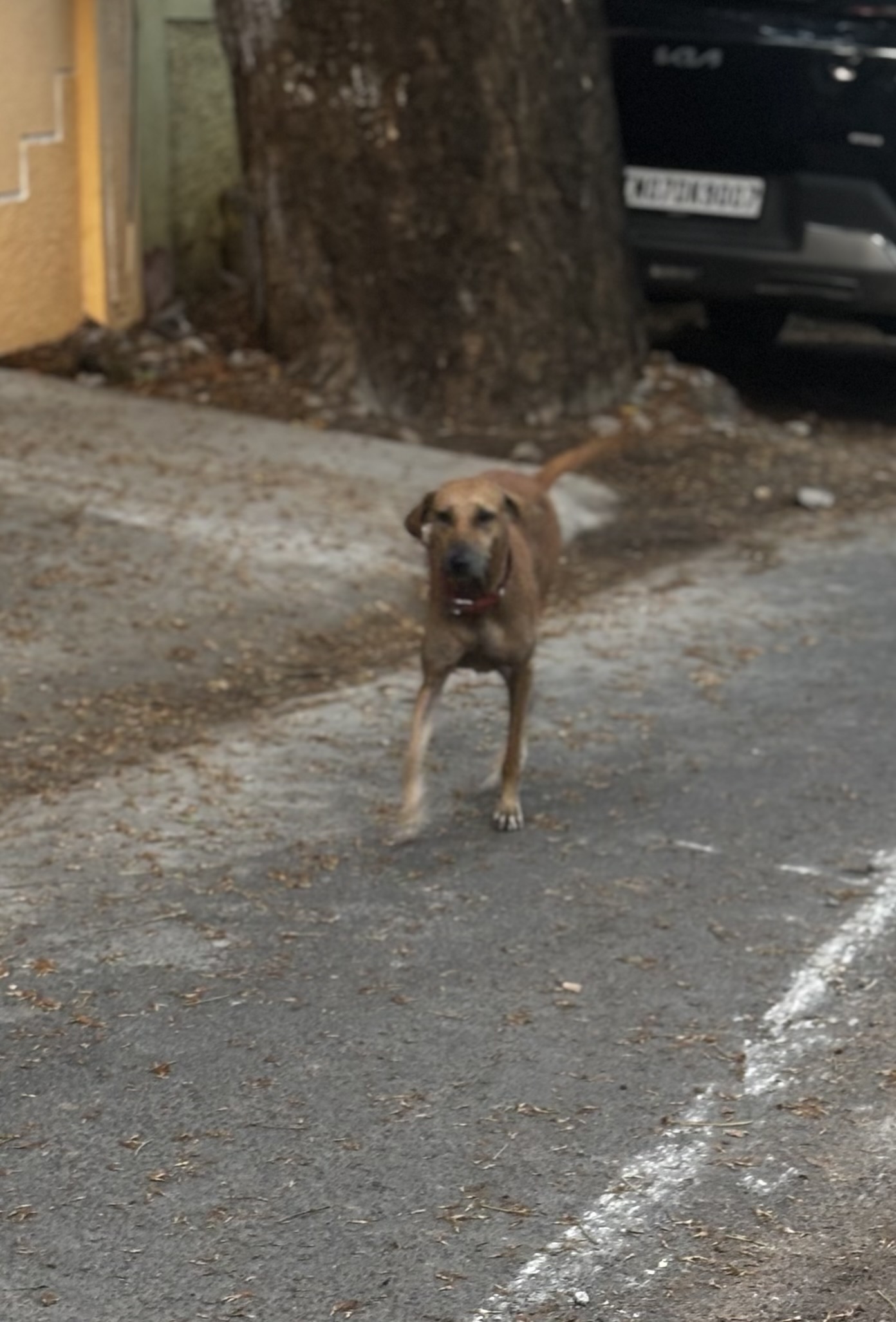 TOW she comes sprinting from the other end of the street