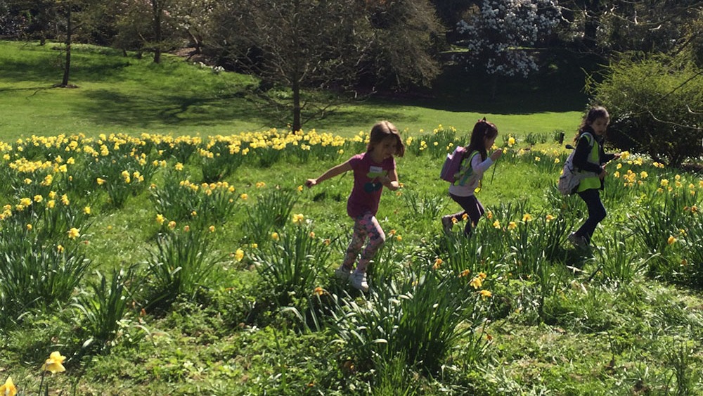 undefined-Kaleidoscope Clubs and Courses-1