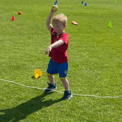 Cricket Bugs provider logo