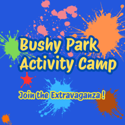 Bushy Park Activity Camp provider logo