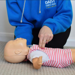 Daisy First Aid - Eastbourne provider logo