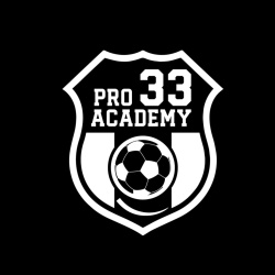 Pro33Academy provider logo