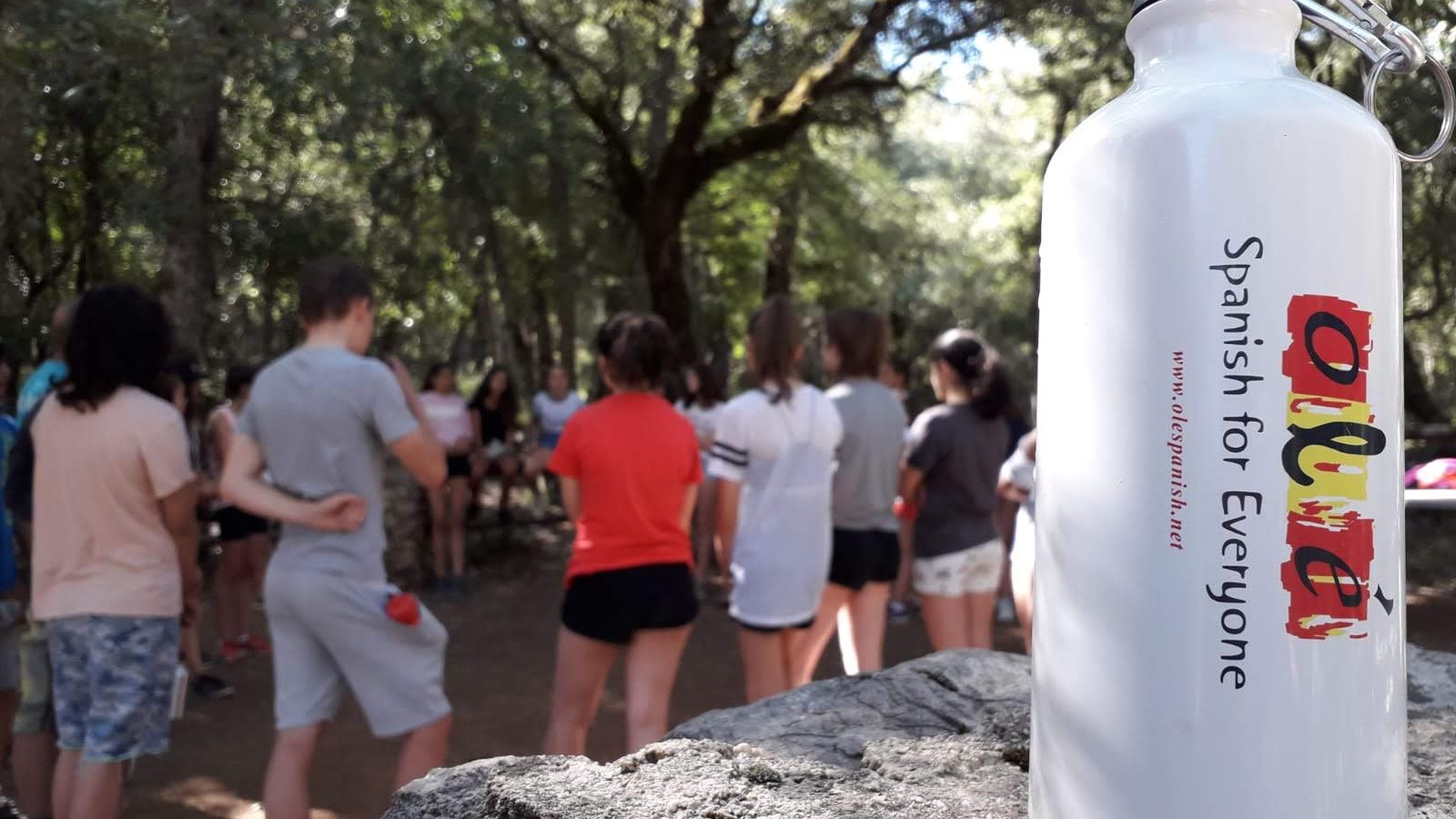 undefined-Ole Spanish Finchley & Golders Green-3