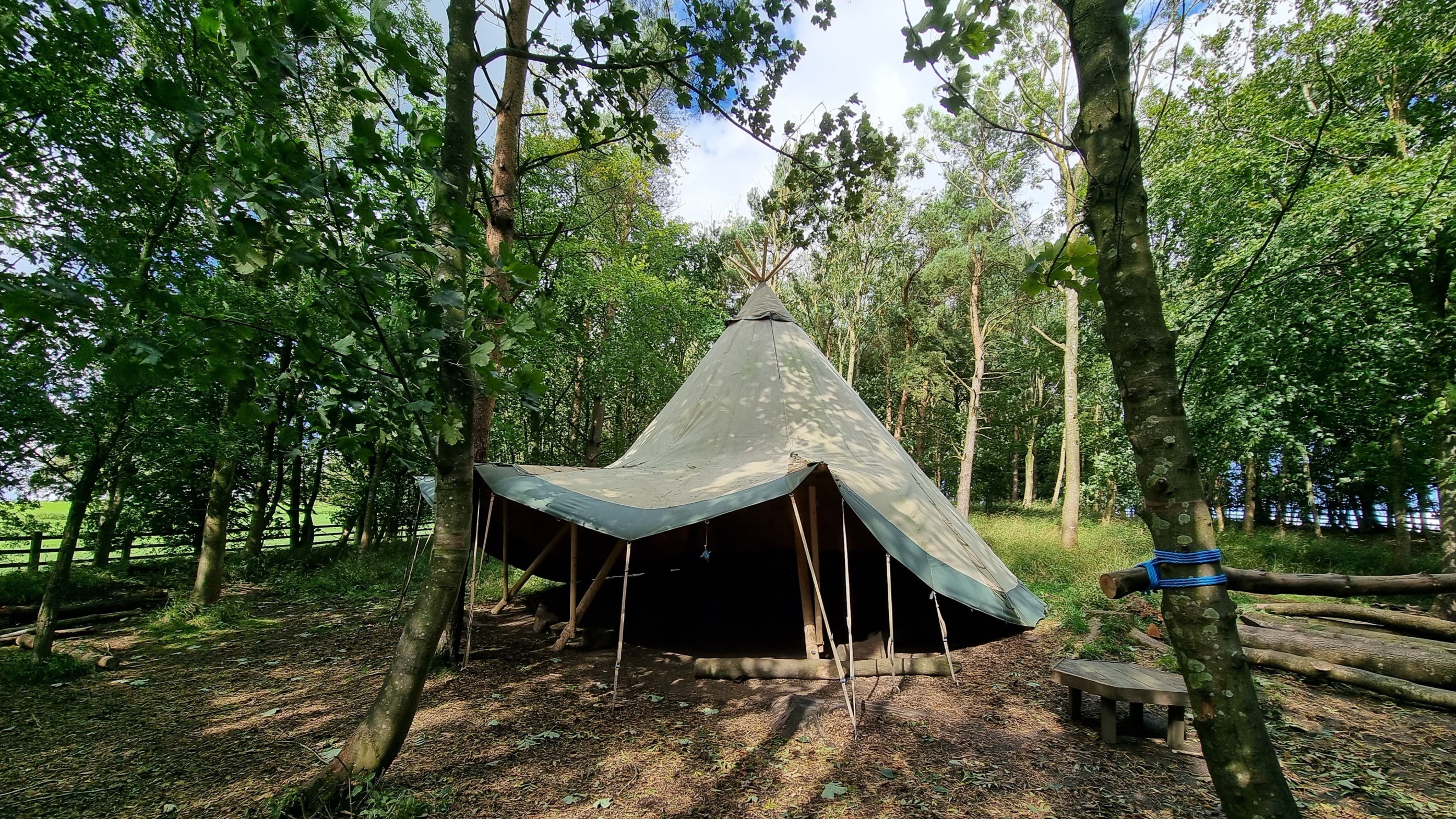 undefined-Wild Explorers-3