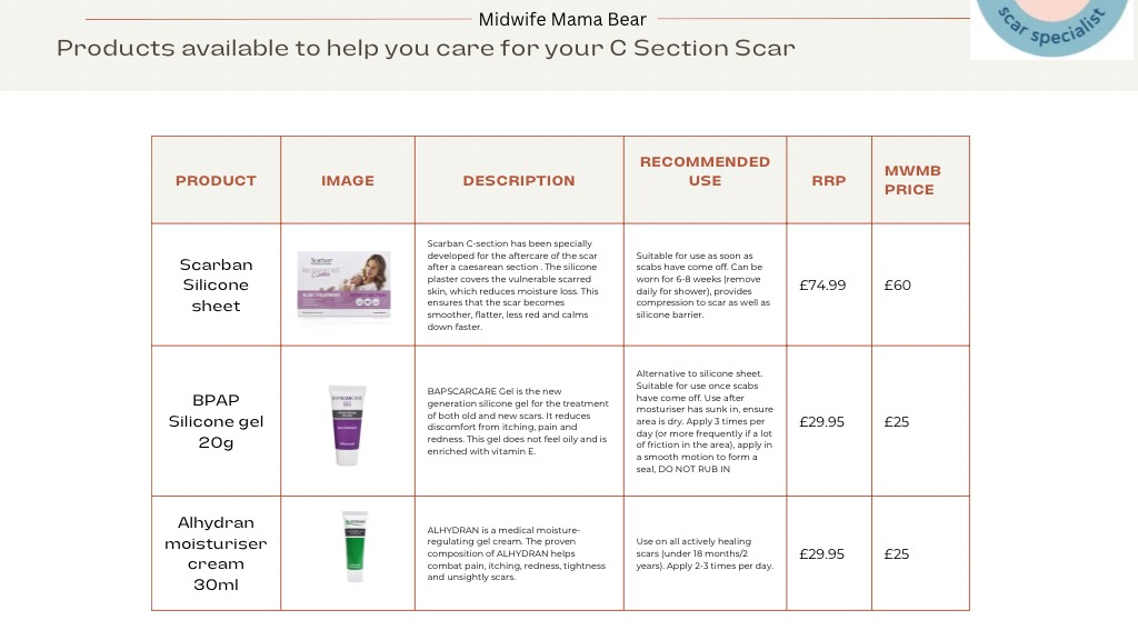 undefined-Midwife Mama Bear-7