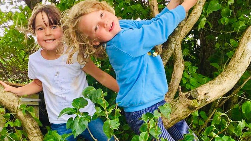 undefined-Wild Explorers-1