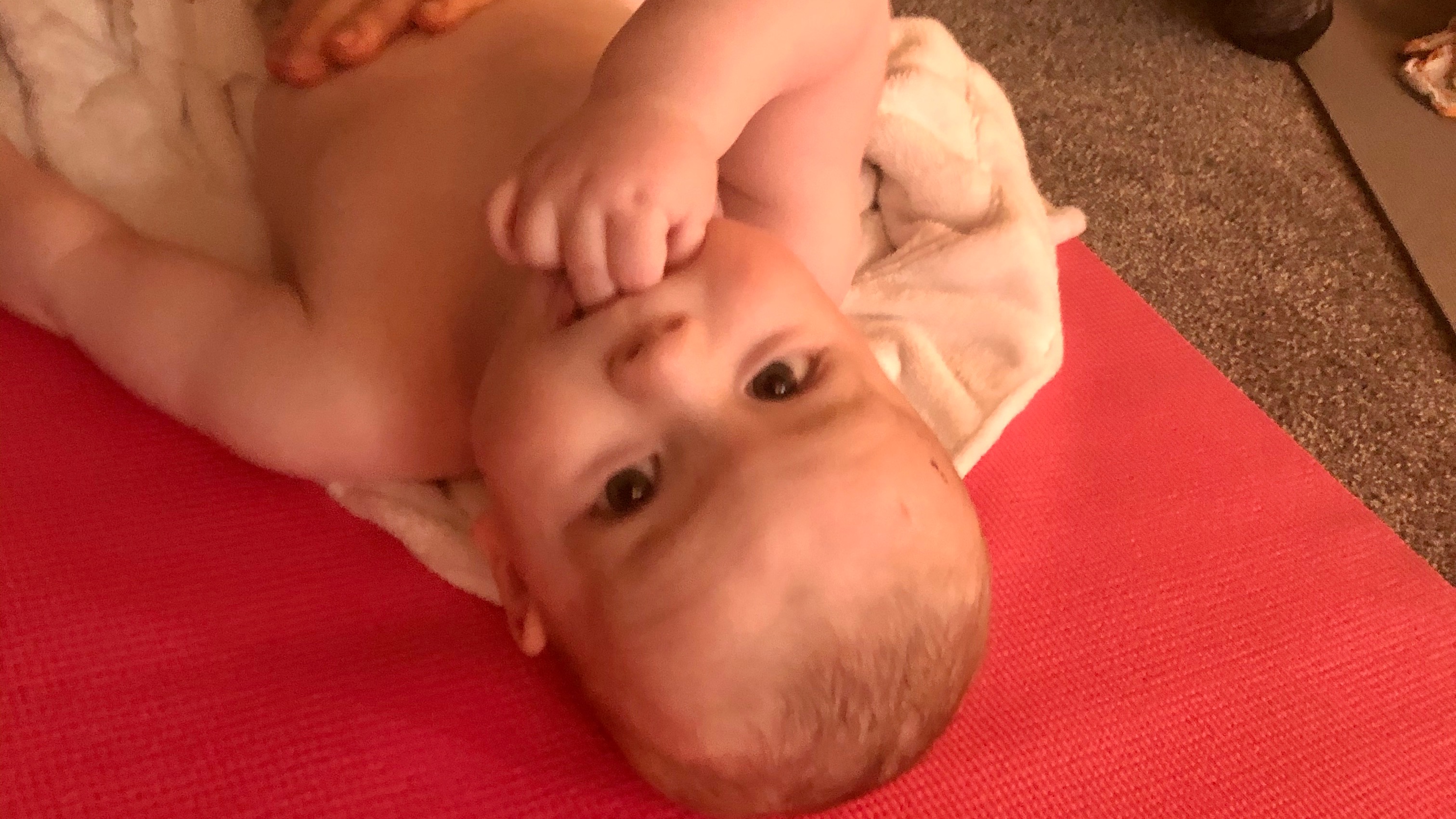 undefined-Midwife Mama Bear-4