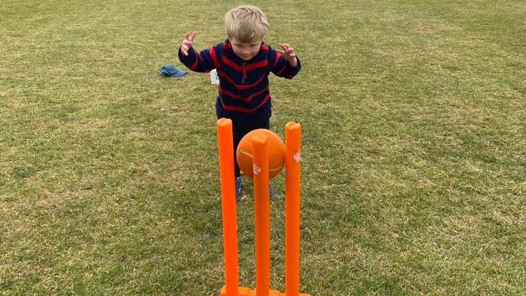 undefined-Cricket Bugs-1