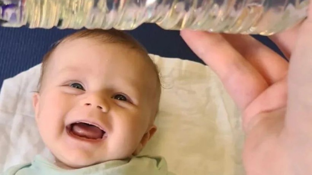 undefined-Seeds to Sunshine-0