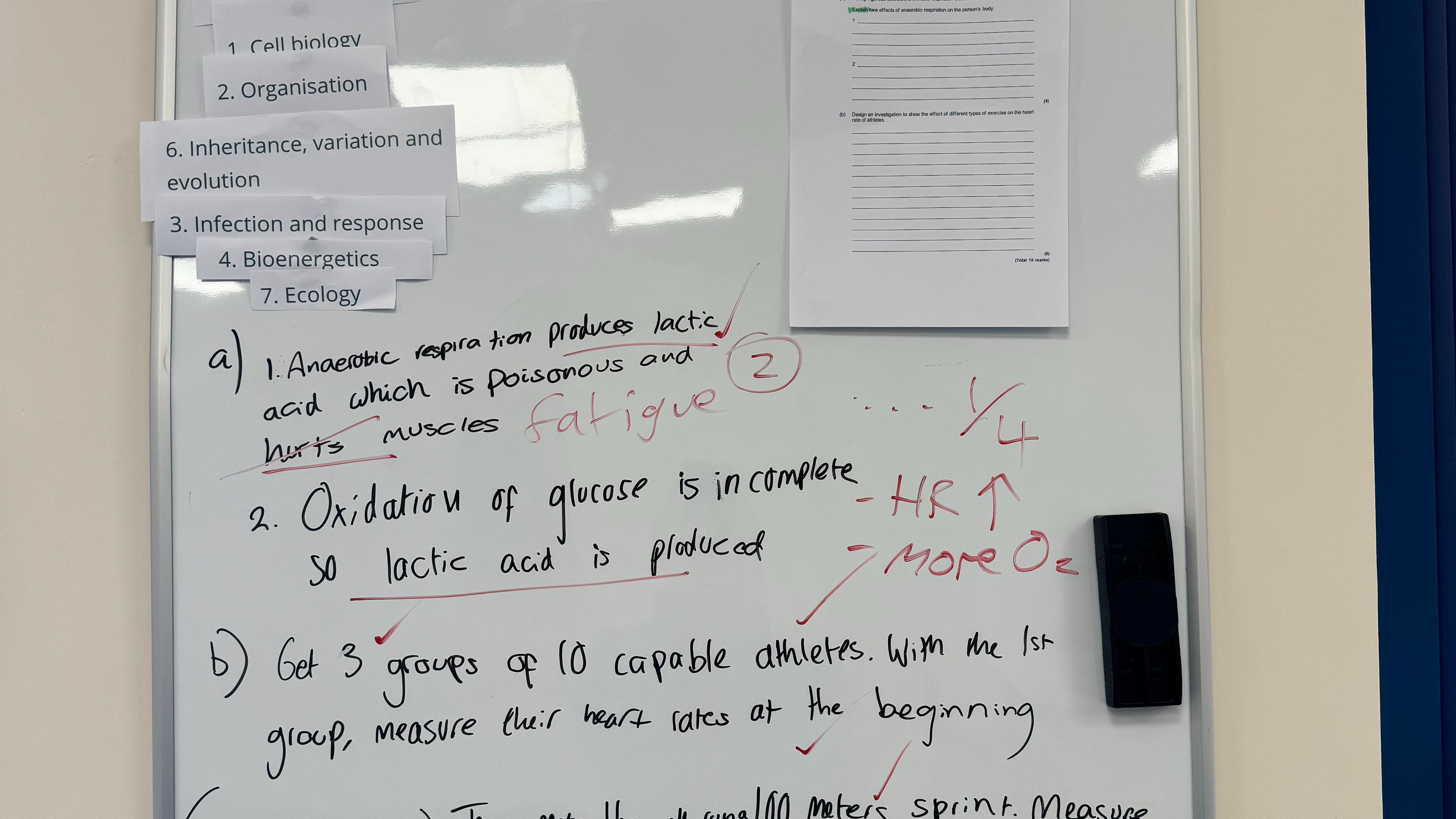 undefined-Next Level Revision-4