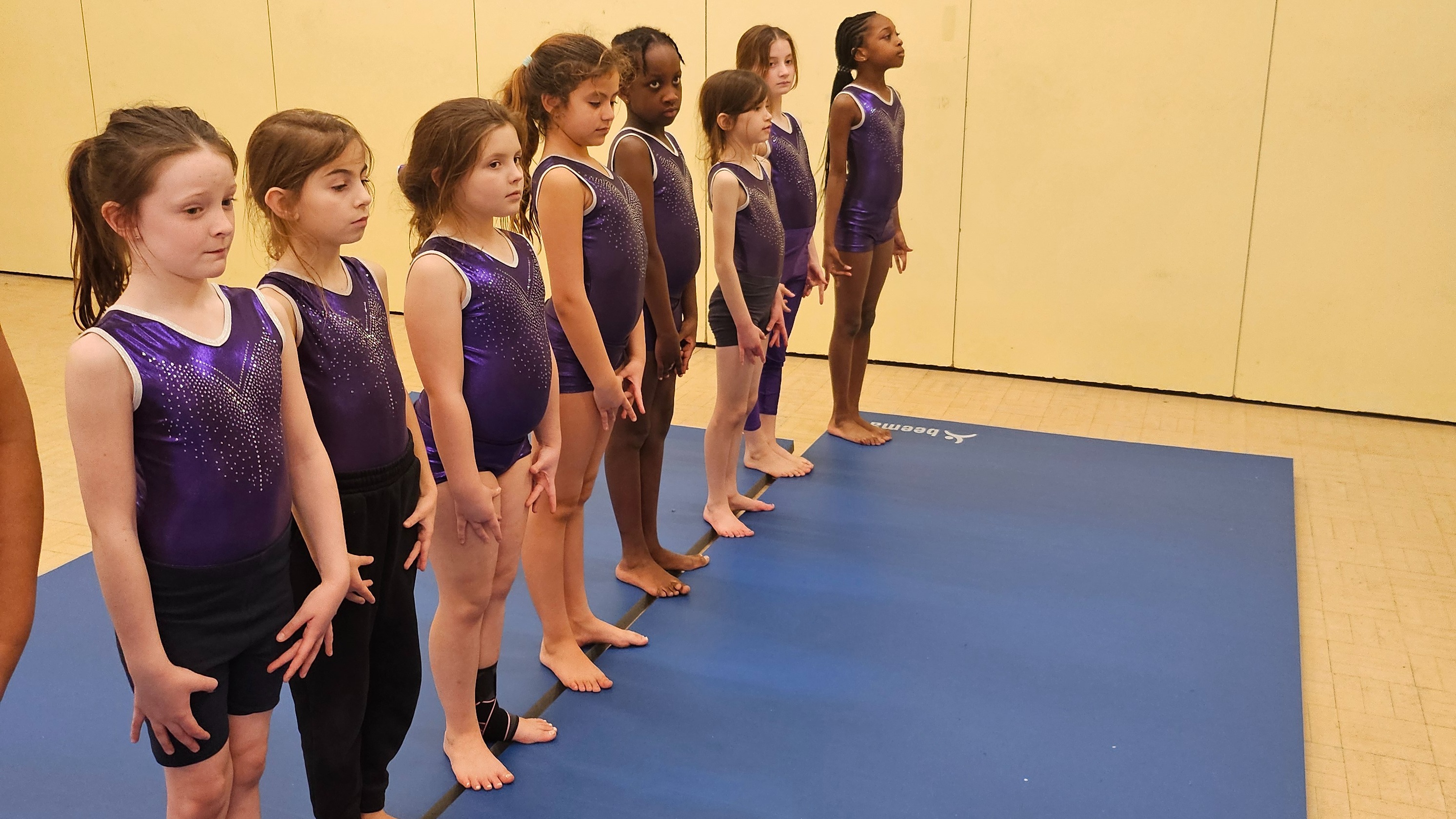 Display Team — photo 3