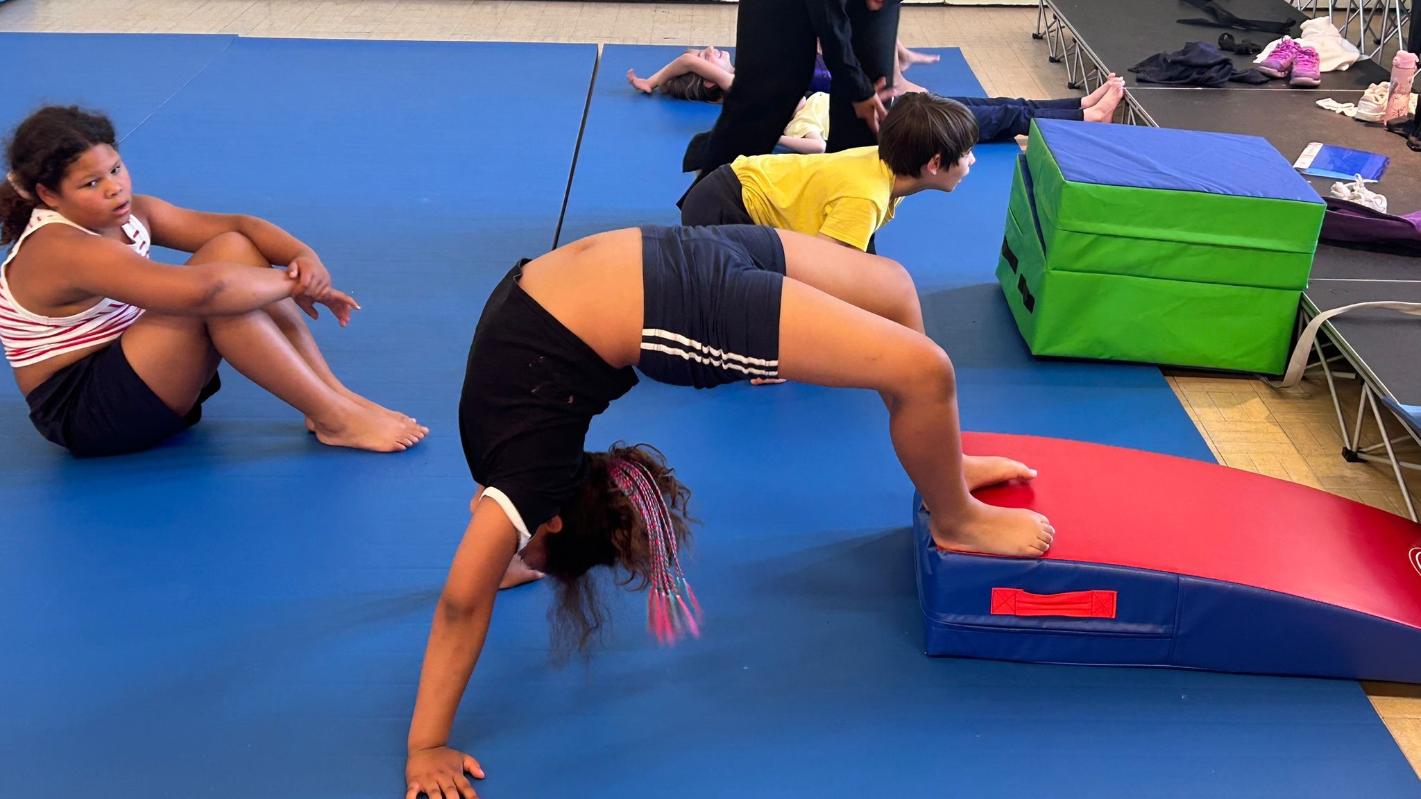 Beginner & Advanced Classes — photo 4