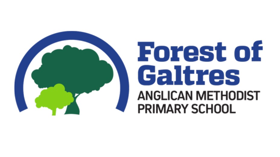 Forest Of Galtres | Dodgeball