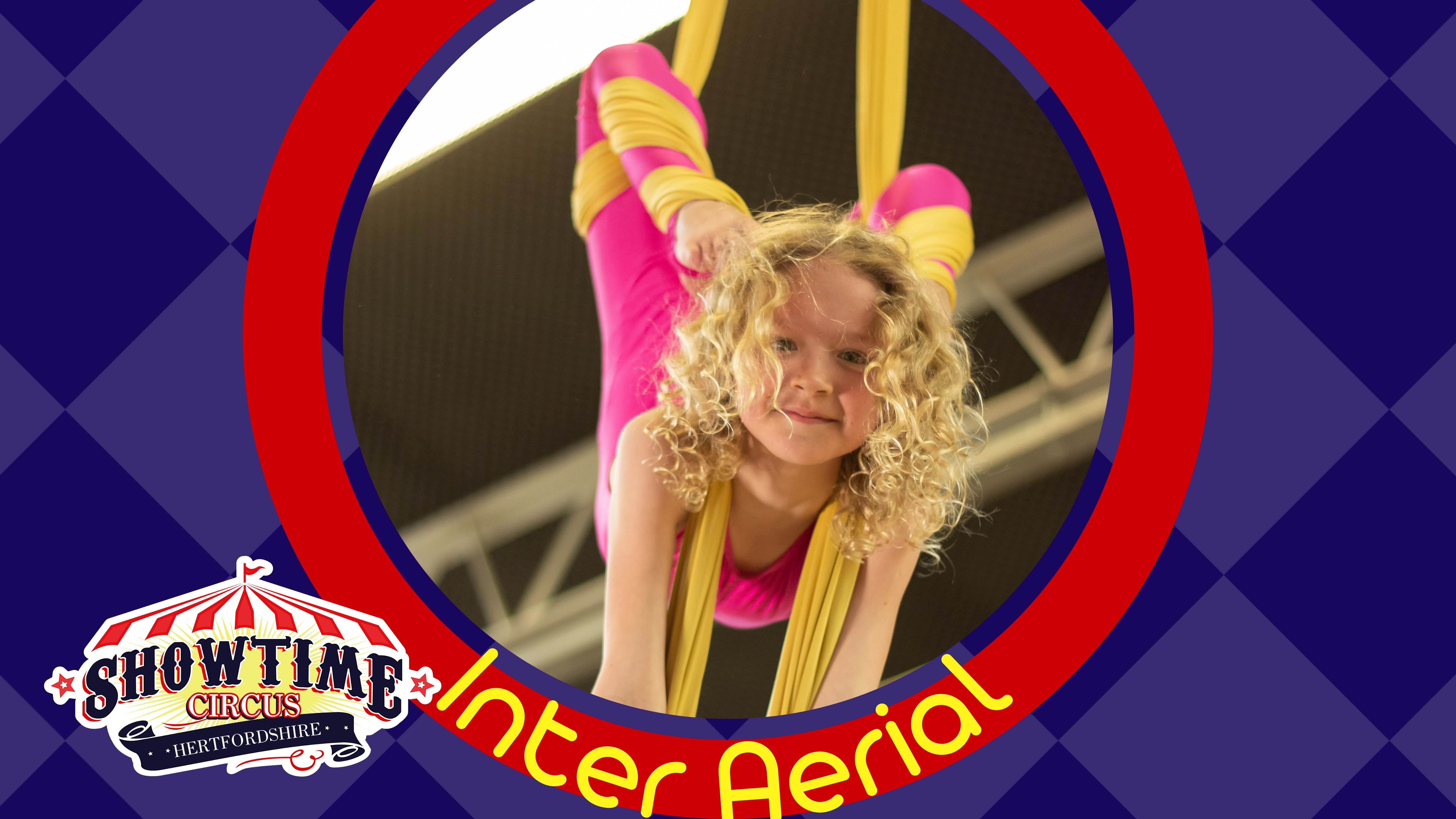 Intermediate Aerial