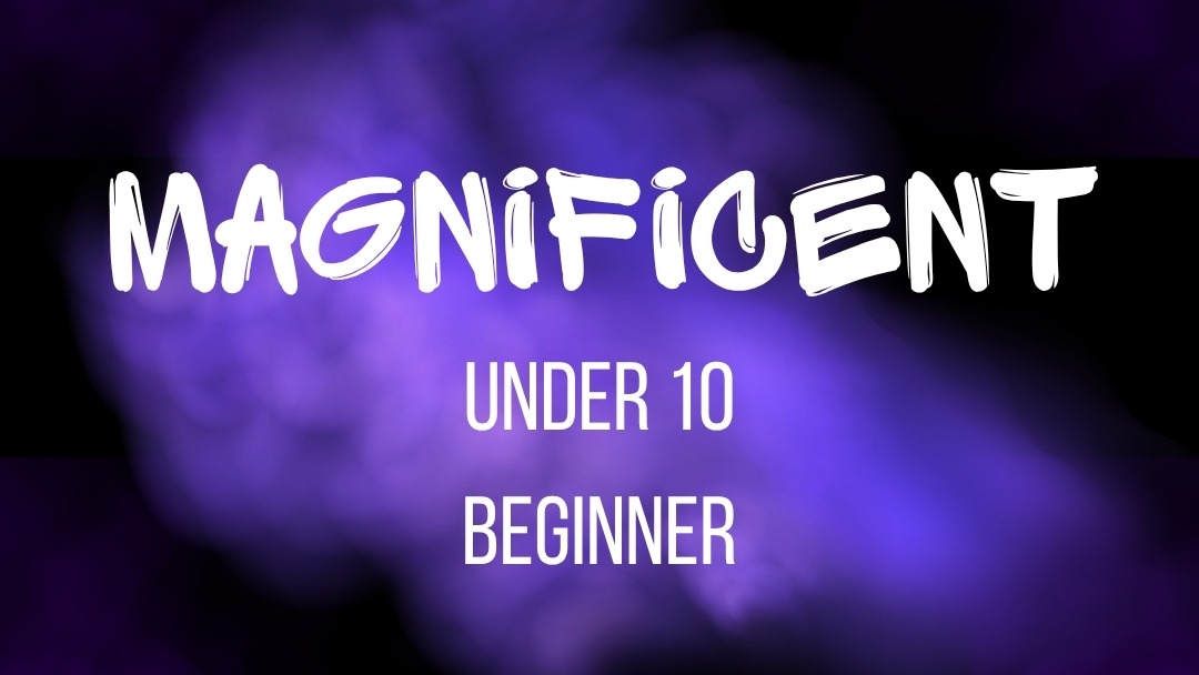 Magnificent Term 1