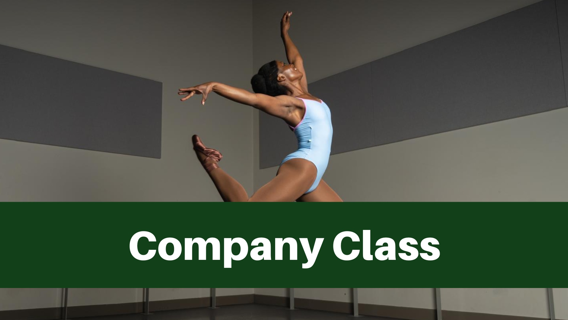 Company Class (INT/ADV) - PointeBlack