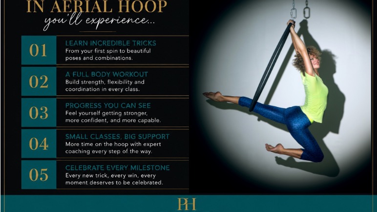 Aerial Hoop- Adult - Performers House