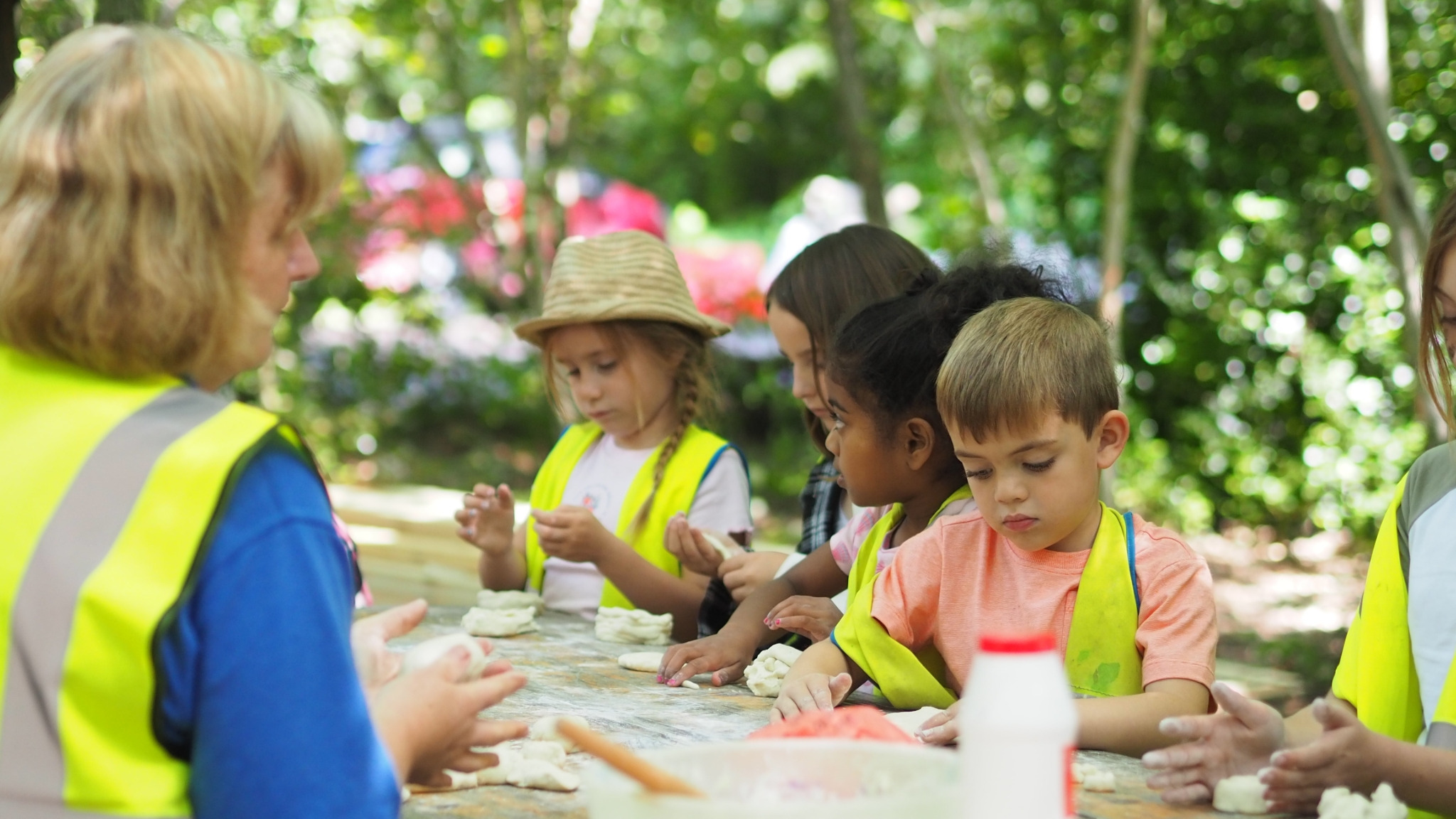 undefined-The Treehouse Club-6